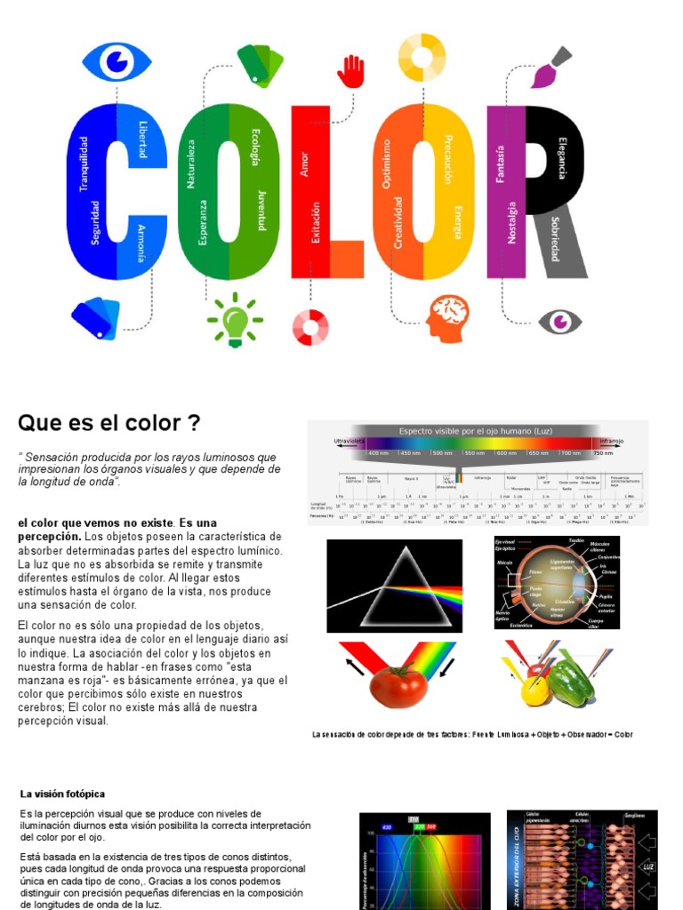 Gestión del Color y Luminosidad | PDF | Color | Procesamiento de imágenes