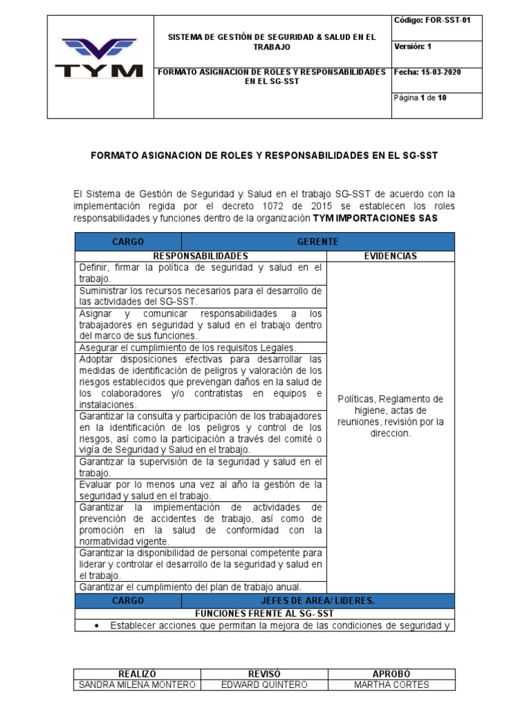 For SST 01 Formato Asignacion de Roles y Responsabilidades SGSST | PDF ...