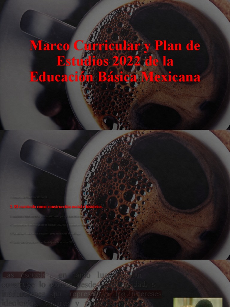 Marco Curricular y Plan de Estudios 2022 de La Educación Básica ...