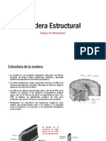 5 Madera Estructural