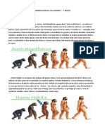 Guía de Apoyo 7 Basico, Proceso de Hominización