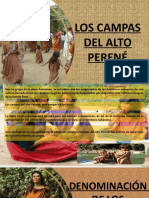 Campas Del Alto Perené