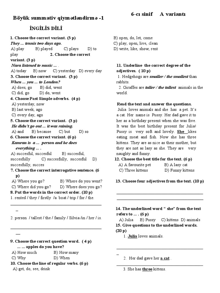 6th Grade English Language Test | PDF | Linguistic Morphology | Grammar