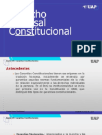 Diapo Semana 9 D. Procesal Conatitucional