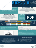 Infografia Pmi