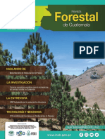 6a Revista Forestal