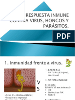 Imunidad Frente A Hongos Parasito Bacterias