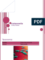 Disertación Salmonella