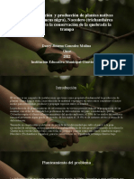 Exposicion Implementación y Producción de Plantas Nativas Sauco (PRESENTACION - PPTM