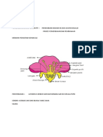 Rangkuman Tumbuhan Generatif