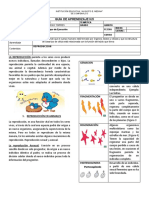 Guia-Taller Reproduccion