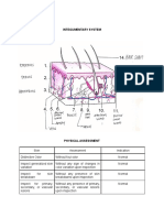 Integumentary Assessment - BSN-1B