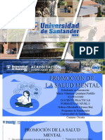 Promocion de La Salud Mental