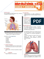 Partes y funciones del aparato respiratorio