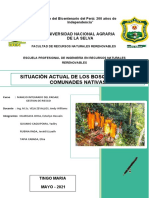 Situación Actual de Los Bosques de Las Comunades Nativas.0