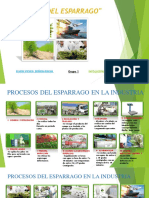 Infografia Del Sistema Agroindustrial y Cudro Resumen