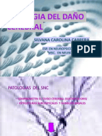 Etiologia Del Daño Cerebral 2021