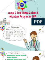 Ipa Tema 2 ST 2&3