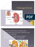 Fisiología Renal