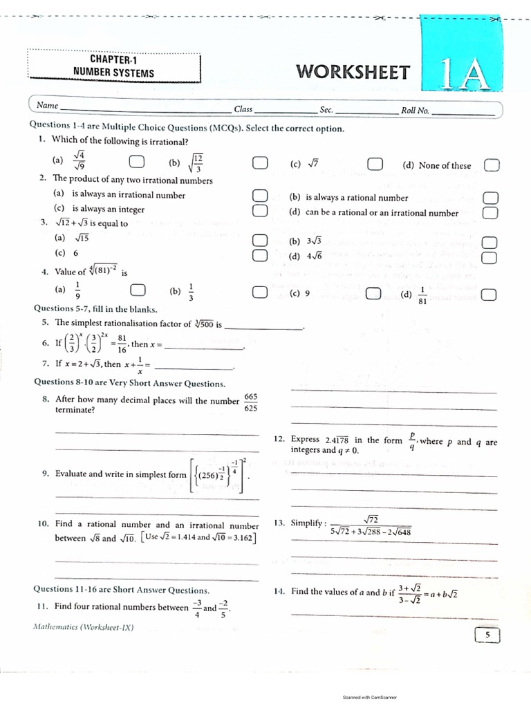 4 Ws | PDF