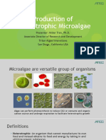 4-3 - Production-of-Heterotrophic-Microalgae