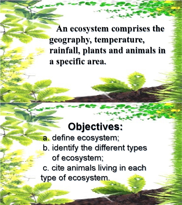 understanding ecosystem for health and well being essay