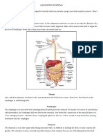 Digestive Dan Respiratory System