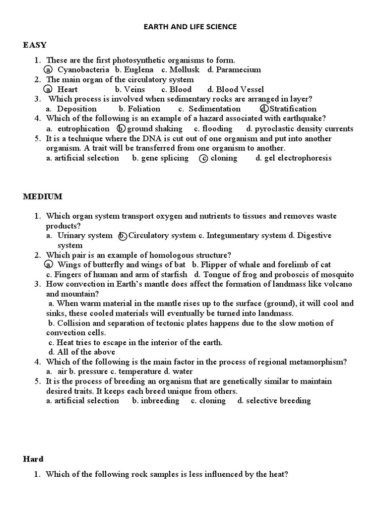 Quiz Bee | PDF | Rock (Geology) | Earth