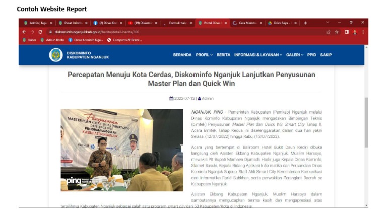 Contoh Website Report | PDF