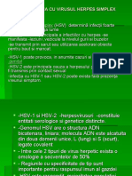 Curs Virus Herpes Simplex