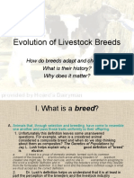 Evolution of Livestock Breeds: How Do Breeds Adapt and Change? What Is Their History? Why Does It Matter?