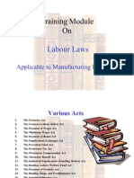 labour_laws.23234758