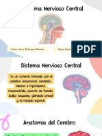 Sistema nervioso central y sus partes