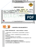 Certificado NR-20 04HRS