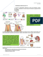 Enfermedad Cardiovascular y Enfermedad Periodontal