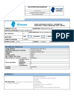 Formato Guía de Laboratorio