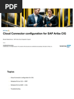 CIG - Cloud Connector Configuration