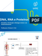 Aula 6 Dna J Rna e Síntese de Proteínas