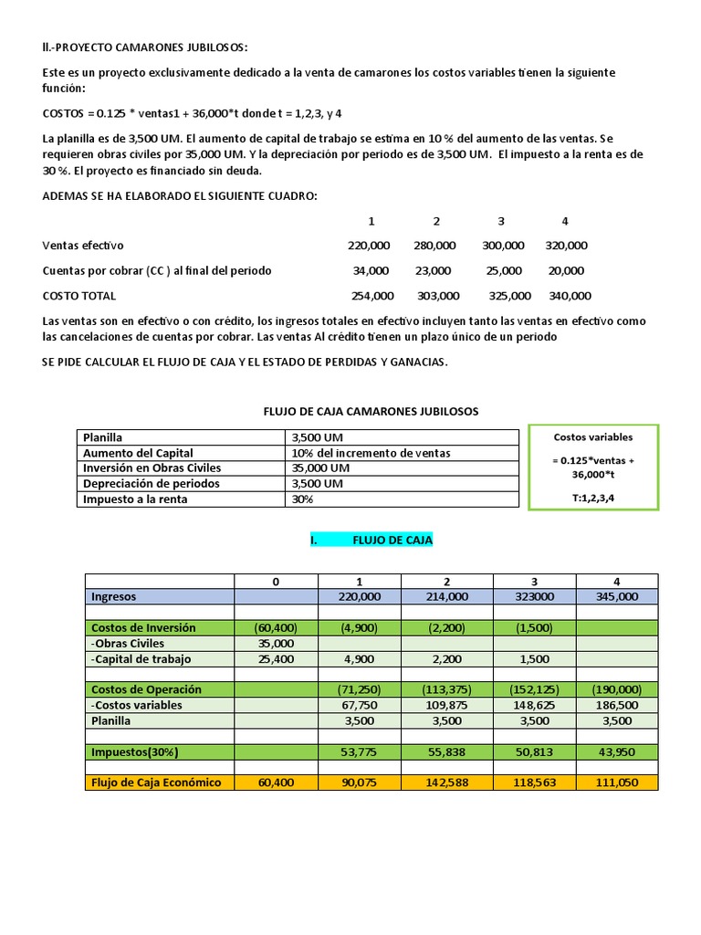 Ejercicio Flujo de Caja | PDF | Finanza pública | Flujo de efectivo