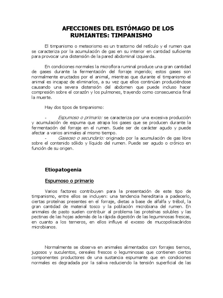 Timpanismo Rumiantes PDF Rumiante Especialidades Medicas