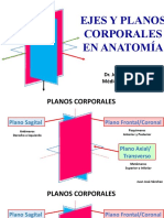 1.canal - Anatomia Ejes y Planos Corporales.