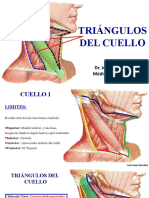 Triangulos Del Cuello