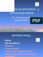 Patología Quiasma y RQ