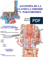 Anatomia de La Glandula Tiroides y Paratiroides