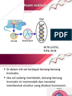 Kromosom & Asam Nukleat