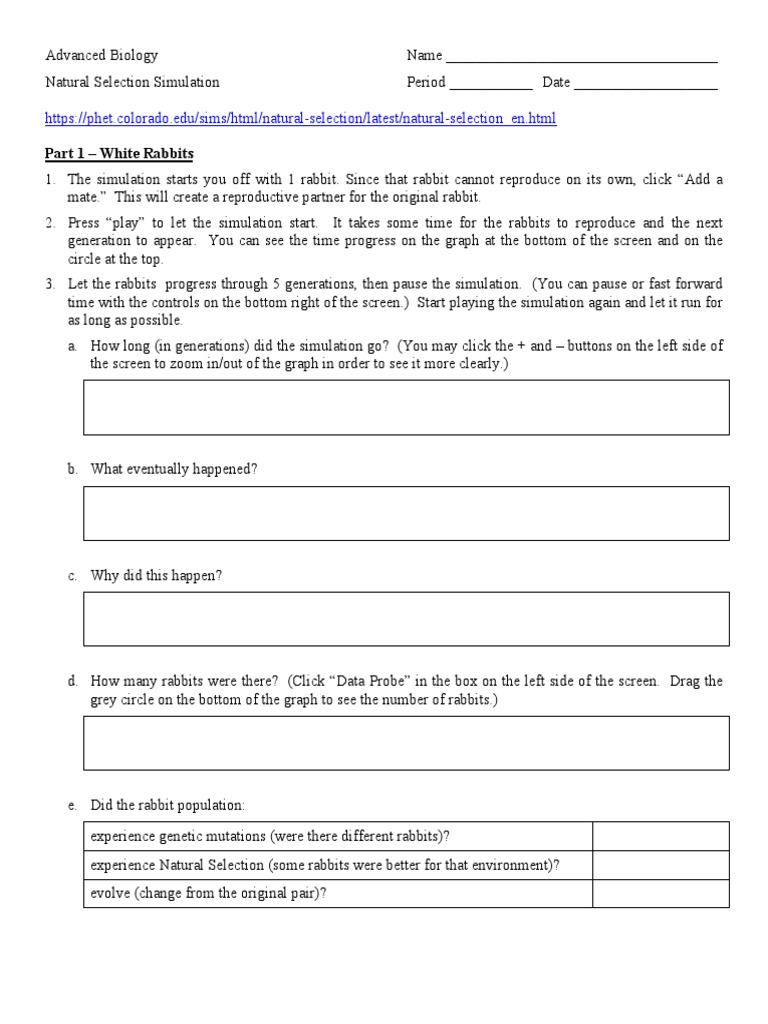 Natural Selection Rabbits PDF Dominance Evolution