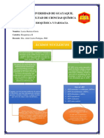 Acidos Nucleicos