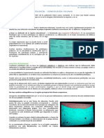 01 - CAA - Patología y Semiología Endodóntica 1