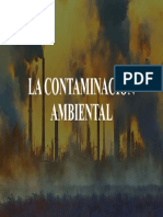 La Contaminacion Ambiental