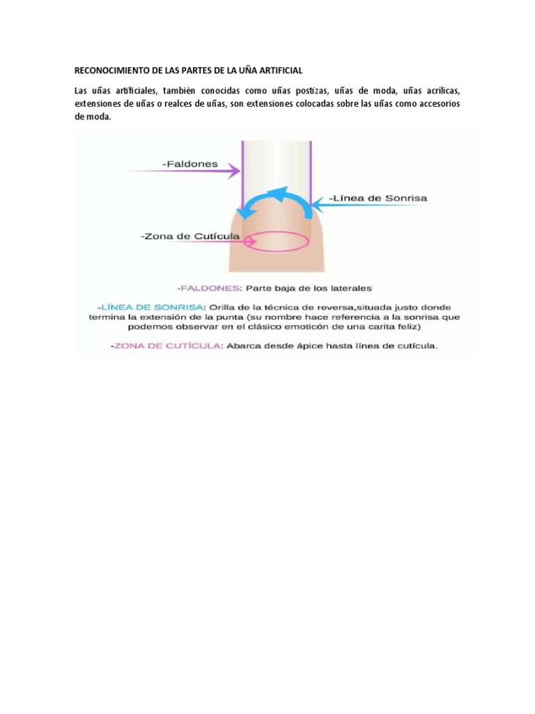 RECONOCIMIENTO DE LAS PARTES DE LA UÑA ARTIFICIAL | PDF